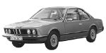 BMW E24 P2576 Fault Code